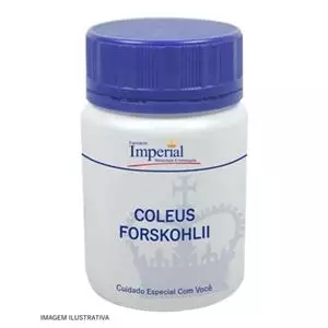 Coleus Forskohlii 150mg 