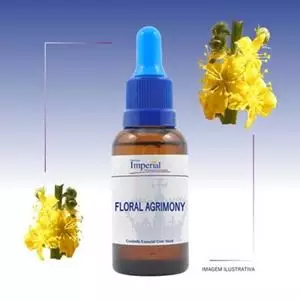 Floral Agrimony 30ml
