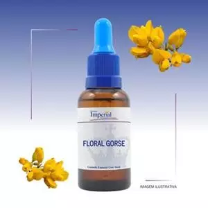 Floral Gorse 30ml
