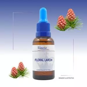 Floral Larch 30ml