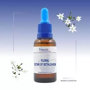 Floral Star of Bethlehen 30ml