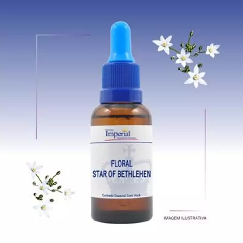 Floral Star of Bethlehen 30ml