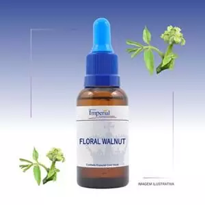 Floral Walnut 30ml