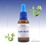 Floral Walnut 30ml