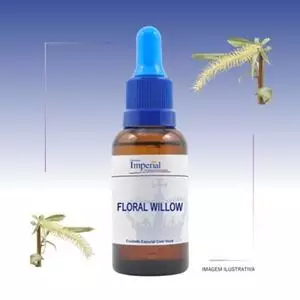 Floral Willow 30ml