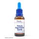 Tintura Espinheira Santa 30ml